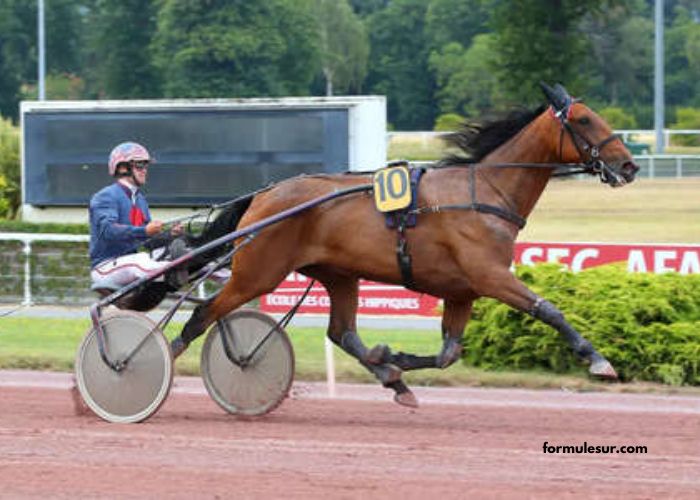 Jolie Turf Gagnant