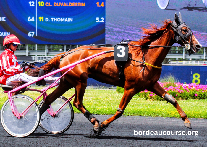 Meilleur Pronostic 3 Chevaux
