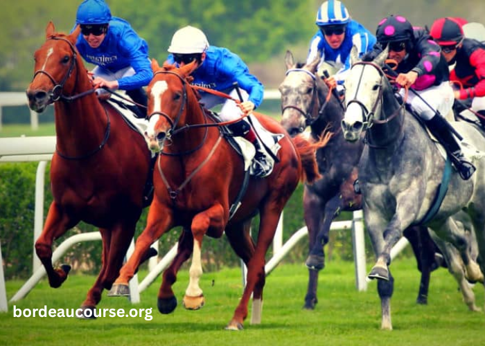 Programme Pmu DE Demain Lonab Pronostics