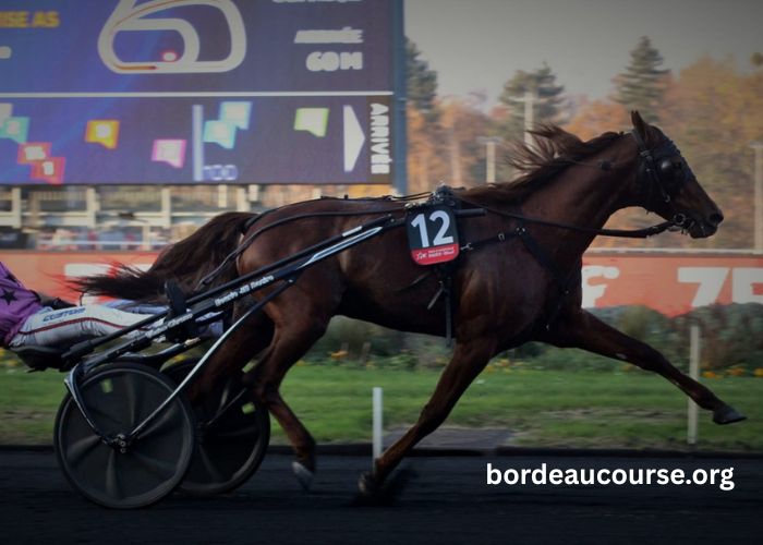Prono Fiable Gagnant