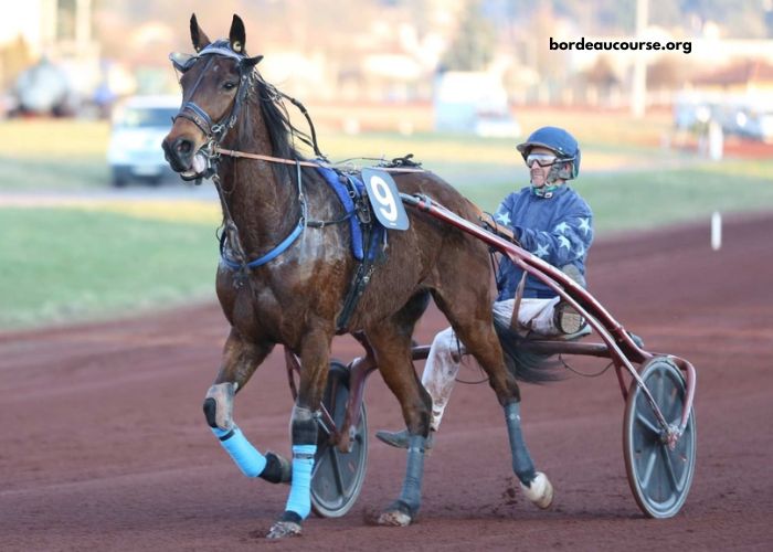 Tierce 100 Gagnant