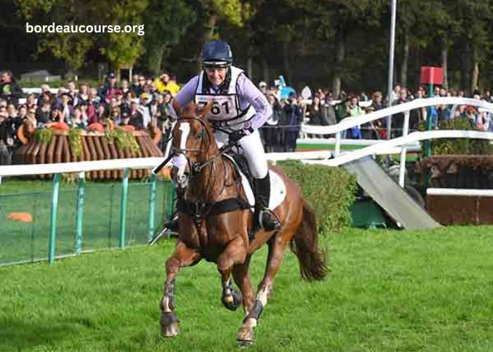 Cci Trio Gagnant