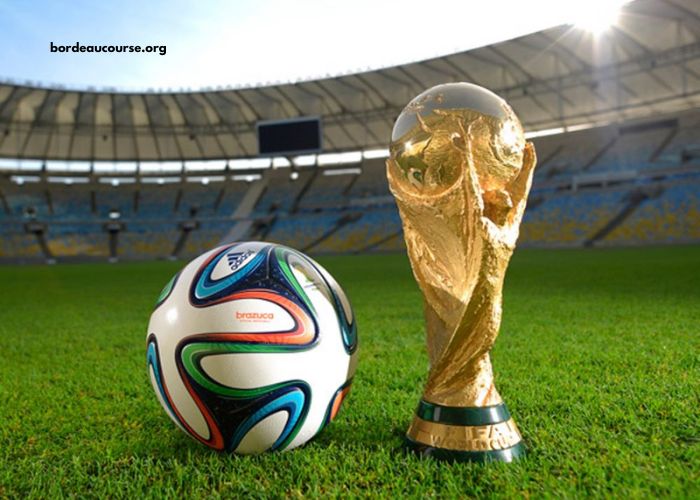 Coupe Du Monde DE Football 2022