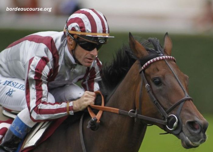 Equidia Du Jour