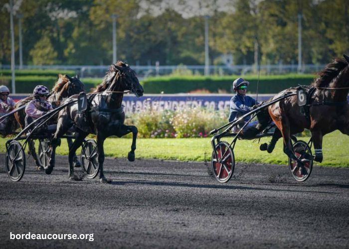 Les Interdits Au Tiercé