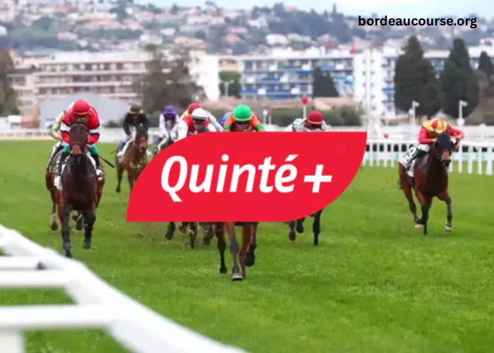 Résultat Quinte Du Jour