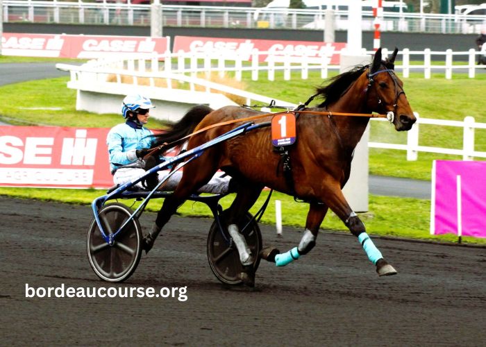 Lonab Journal Hippique (2)