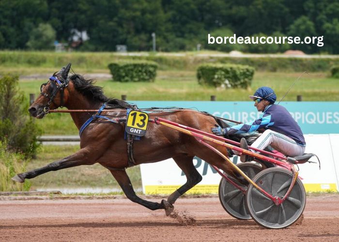 Paris Course Vip (2)